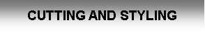 Text Box: CUTTING AND STYLING